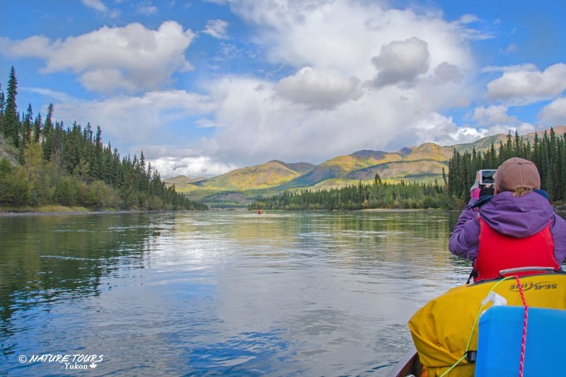 Six Day Guided Canoe Trip on Yukon River | Yukon Wild