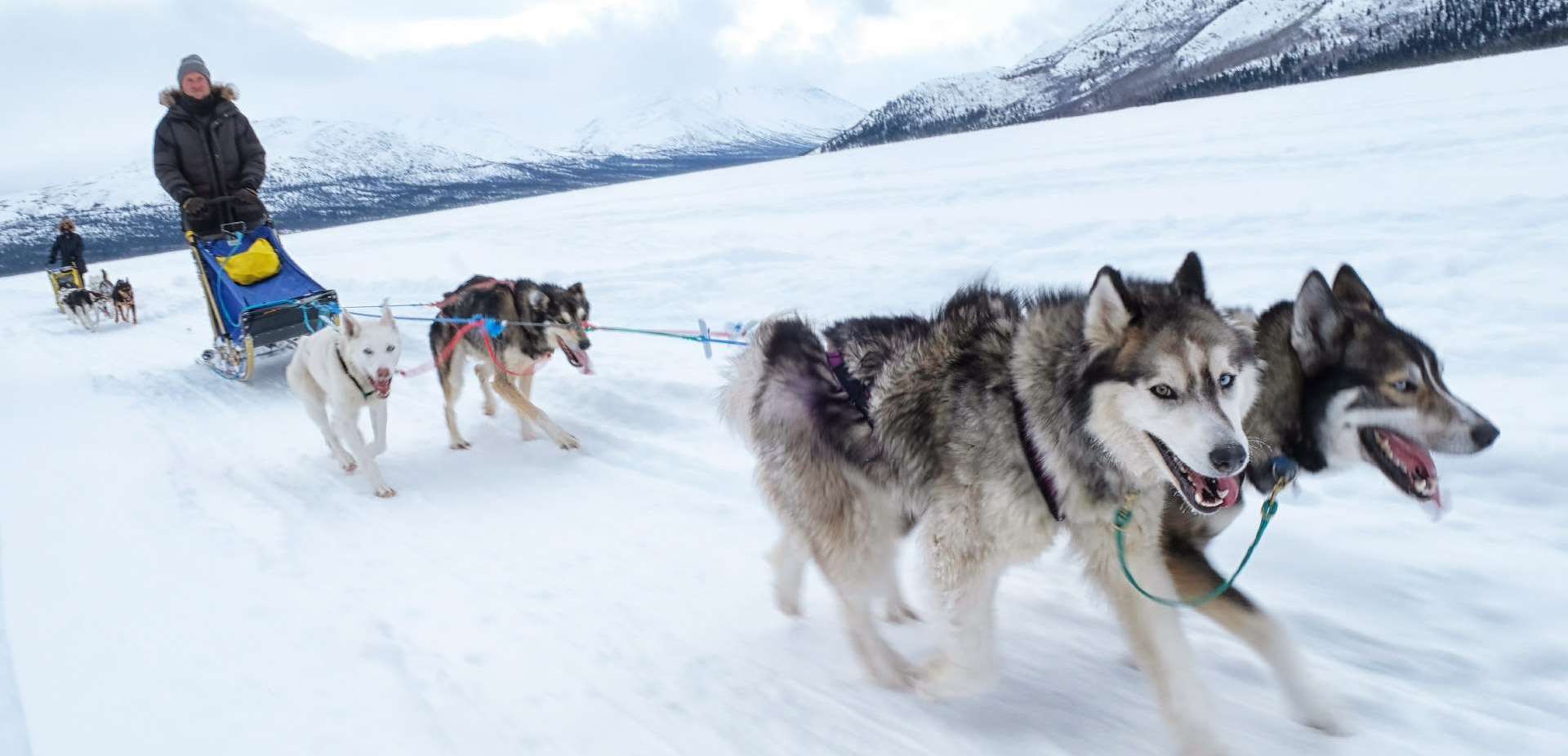 Yukon Wild | Adventure Tours in Canada's North